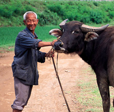 小型飼料顆粒機(jī),農(nóng)民圓夢！